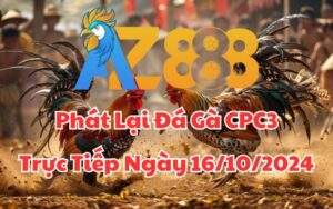 Phát Lại Đá Gà CPC3 Trực Tiếp Ngày 16/10/2024