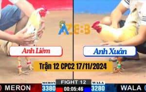 Trận 12 CPC2 17/11/2024 - Gà Anh Liêm Phản Kèo 2 Lai, Đưa Biện Ra Đảo