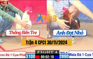 Trận 4 CPC1 30/11/2024 - Đỏ Đá Cựa Phải, Xanh Đá Cựa Trái - Xổ Đá 200
