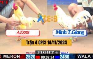 Trận 4 CPC1 Ngày 14/11/2024 - Gà Xóm Gà AZ Đá Gà Anh Minh Gãy Cổ