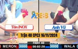 Trận 40 CPC3 Ngày 16/11/2024 - Gà Anh Vũ Lao Vào Ẩu Bị Đá Lật Xe