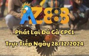 Phát Lại Đá Gà CPC1 Trực Tiếp Ngày 28/12/2024