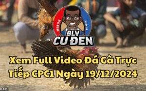 Phát Lại Đá Gà CPC1 Trực Tiếp Ngày 19/12/2024
