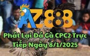 Phát Lại Đá Gà CPC2 Trực Tiếp Ngày 08/01/2025