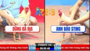 Trận 12 CPC1 21/3/2025 - Anh Bảo Sting Bất Bại Trước Anh Dũng Bà Rìa