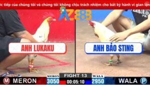 Trận 13 CPC2 12/3/2025 - Bướm Hiệu Bảo Sting Bị Đâm Không Kịp Dỡ Giò