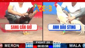 Trận 20 CPC3 12/3/2025 - Anh Bảo Sting Hạ Anh Sang Sau 3 Lần So Tài