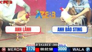 Trận 30 CPC2 27/4/2025 - Bướm Anh Lành Đâm Úa Anh Bảo Sting Chạy Chết