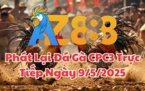 Phát Lại Đá Gà CPC3 Trực Tiếp Ngày 09/05/2025
