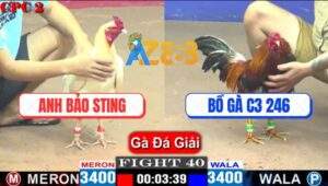 Trận 40 CPC2 4/5/2025 - Bảo Sting Lần Đầu Được 9 Điểm, 1 Tay Chạm Cup