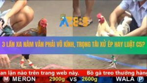 Trận 17 CPC5 21/8/2025 - 3 Lần Nằm Vô Kính, Luật C5 Hay Tài Xử Ép?