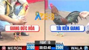 Trận 15 CPC3 5/8/2025 - Anh Tài Chấp Ngông Lấy Tiếng Thua Cái Xổ 200