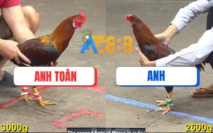 Trận 14 CPC5 Ngày 15/08/2025