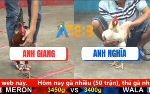 Trận 32 CPC5 Ngày 17/08/2025